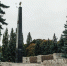 Мемориал «Памяти павших» в Курске полностью отремонтируют к 9 декабря - Курская правда