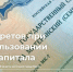 В комитете соцзащиты Курска напомнили о пяти основных правилах использования материнского капитала. - Kursk.Com