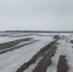 В Курской области расчистили и вернули в оборот 119 га заброшенных сельхозугодий - Городские Известия