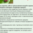 Осторожно, клещи! - ЮЗГУ