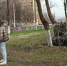 Курян приглашают на субботники 18 и 25 апреля - Курские Известия