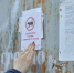 Курск становится чище: молодёжь против незаконных гаражей - Городские Известия