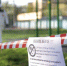Курские парки и скверы обработают от клещей 21 апреля - РИА Курск