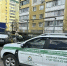 В Курске пресекли выгрузку большого количества отходов на контейнерную площадку - РИА Курск