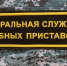 В Курской области женщина выплатила алименты сыну, получив выплаты за погибшего на СВО родственника - Курские Известия