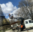 В Железногорске обновили копию Эйфелевой башни в городском парке Никитина - РИА Курск