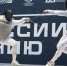 Курский рапирист завоевал бронзу на чемпионате России - Курская правда