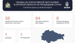 55 украинских беспилотников сбили за сутки в Курской области