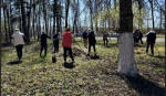 В Курской области 4 тысячи человек приняли участие в субботнике «Зеленая весна»