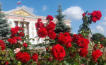 В Курске подрядчик устраняет проплешины на клумбах