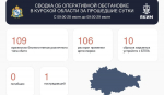 109 украинских беспилотников сбили в Курской области за сутки