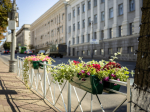 Фото: Рина Горлова / «Городские известия».