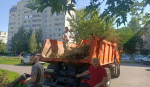 В Железнодорожном округе Курска прошел традиционный субботник