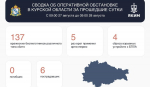 137 украинских беспилотников сбили в Курской области за сутки
