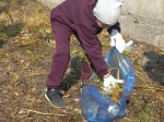 В Курске прошел городской субботник, приуроченный ко Всероссийскому дню чистоты.