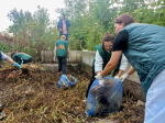 В Курске прошел городской субботник, приуроченный ко Всероссийскому дню чистоты.